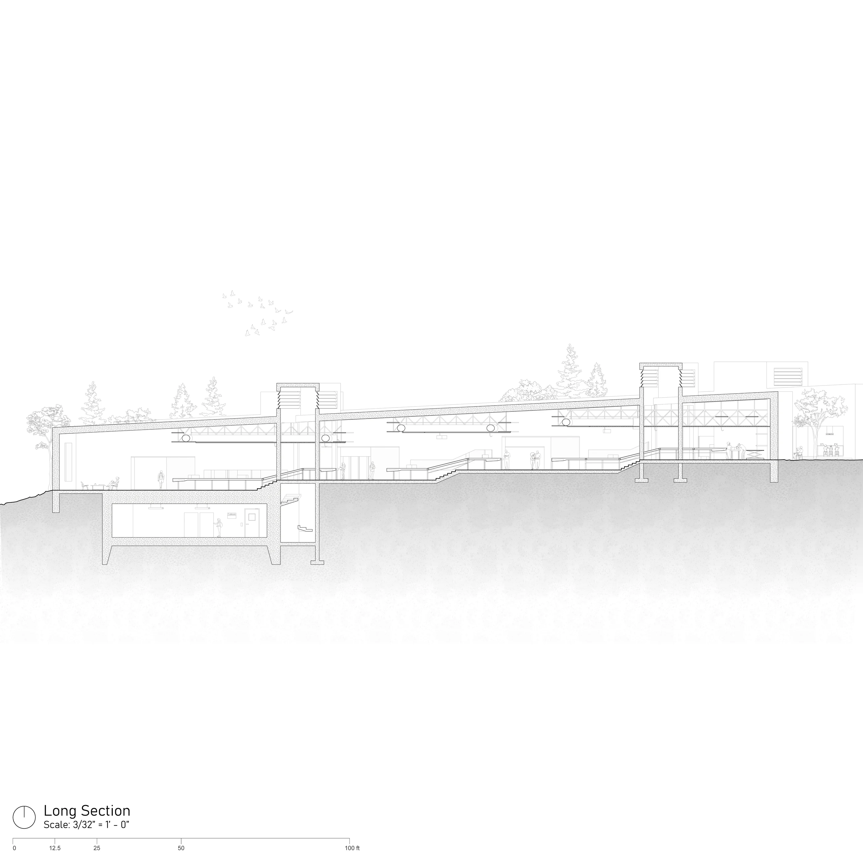 Long architectural section drawing